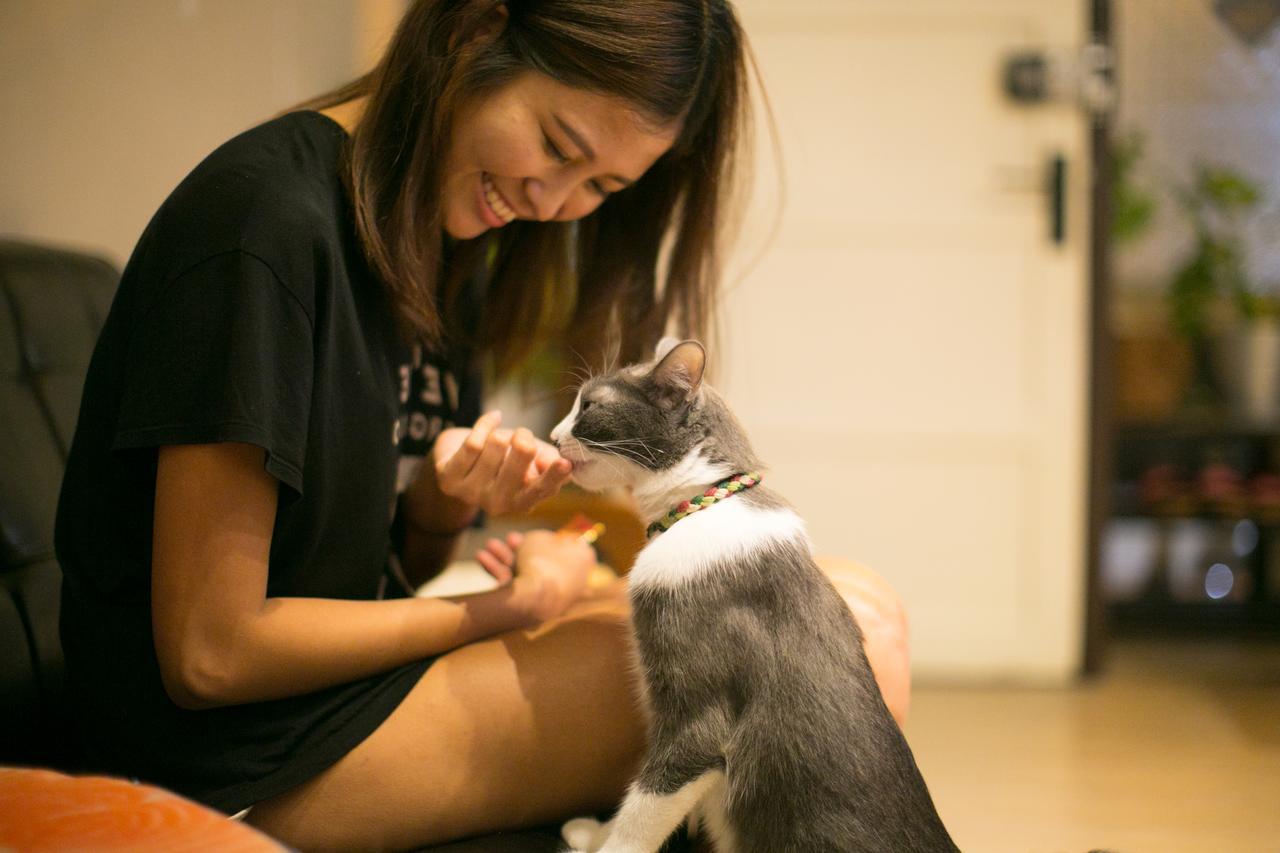 Lento Hostel ไถหนาน ภายนอก รูปภาพ